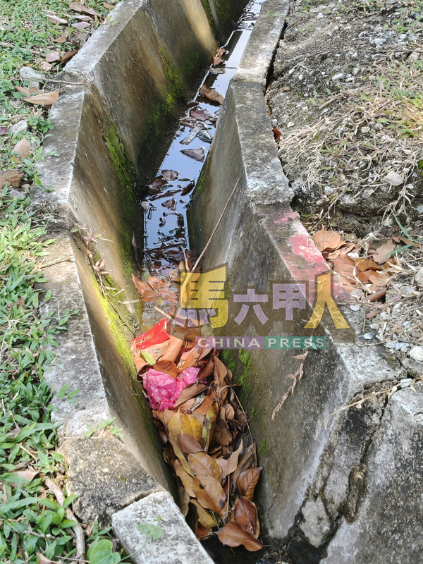 ■水沟堆满垃圾与杂物，成为黑斑蚊滋生温床之一。