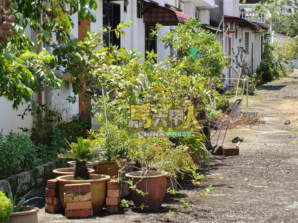 ■民众受促保持环境清洁卫生，防止骨痛热症疫情蔓延。