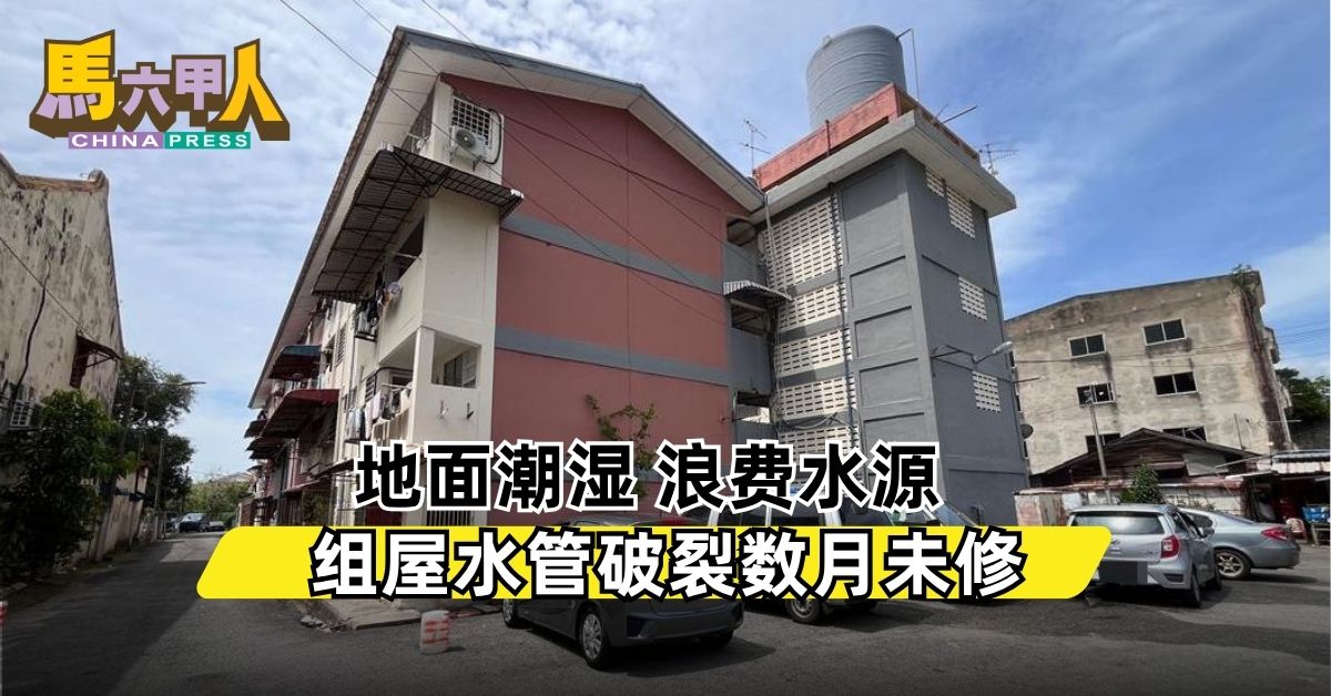 地面潮湿 浪费水源   组屋水管破裂数月未修
